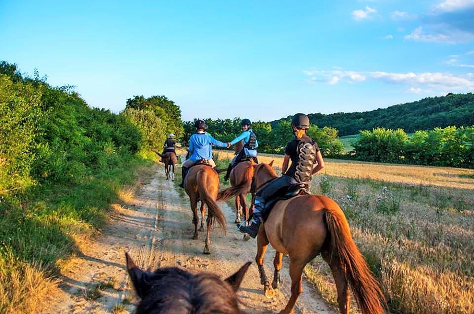 Milyen tematikus útvonalat / tematikus