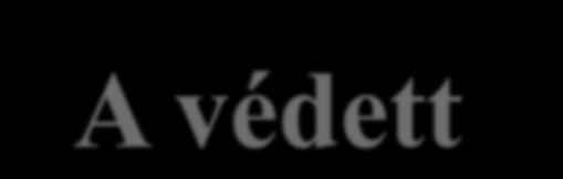 A védett pentaszacharid előállítása