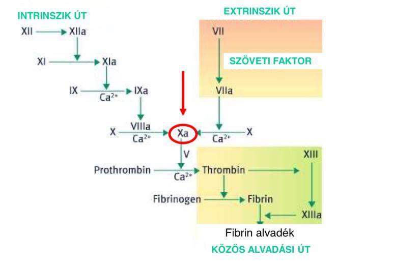 Rivaroxaban: (Xarelto ) direkt, szelektív, reverzibilis