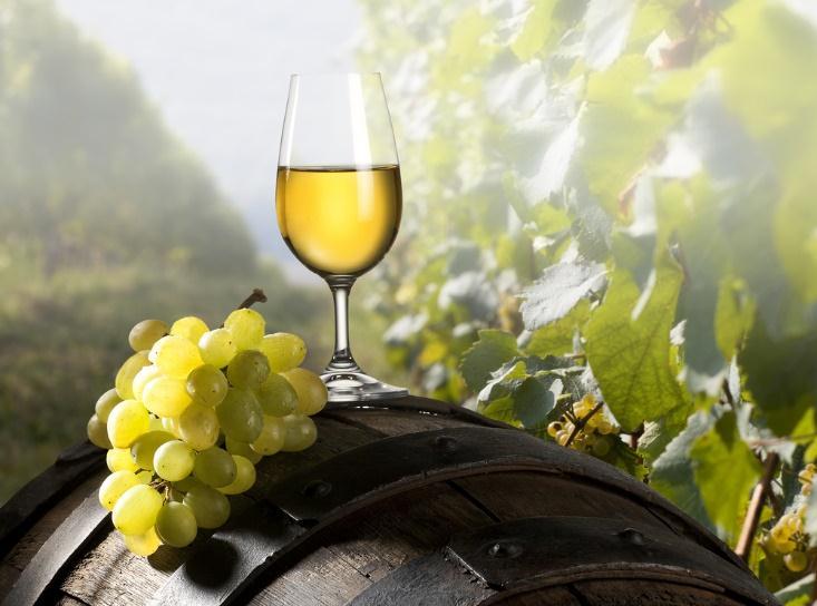 Híres borvidékek alakultak ki az idők során, ahonnan híres borok származnak.