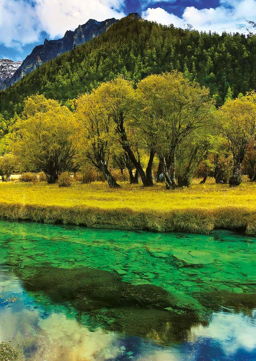 Több, mint vitaminbomba A tibeti homoktövis a legjelentősebb természetes C-vitamin-források egyike.