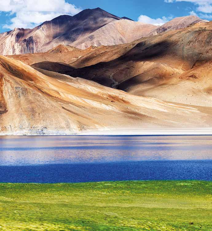 Barley Juice A Tibeti-fennsík a jeges vizek, a sebes patakok és a tiszta hegyi levegő vidéke.