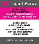 területenszerzett tapasztalat Felhasználói szintű számítógépes Acéltermék ismeret Integrált irányítási rendszerismeret, gyakorlati tapasztalat Nagyfokúönállóság Fix, versenyképes jövedelem + egyéb