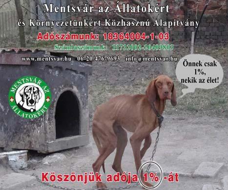 köszönjük, hogy