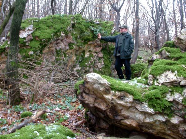 Természeti