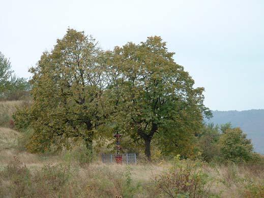 Emlékpark
