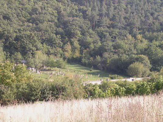 Lakóházak