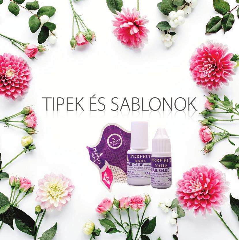 Bajnokok kedvence DENEVÉR SABLON tipek és sablonok körmösök kedvence Magas minőségű, extra erős