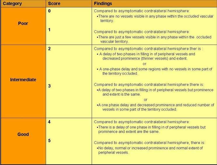 13. ábra http://www.aspectsinstroke.com/collateral-scoring/ ECR 2015/C-1275; Multiphase CTA: collateral circulation evaluation on acute stroke [19] 6.3. MR vizsgálatok Az MR-vizsgálatot szubakut és krónikus esetekben, diagnosztikai problémát jelentő betegeknél alkalmazzák a mindennapi klinikai rutinban aránylag ritkán.