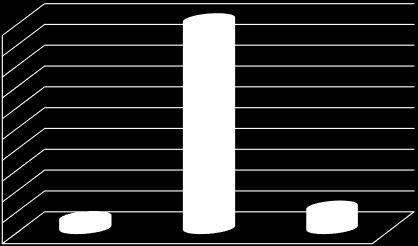20 18 16 14 12 10 8 6 4 2 0 15 5 1 01 a.basilaris occlusio ACM ACI szűkület bal oldal jobb oldal 8. diagram Elzáródás helyei 20 esetben (87%) az arteria cerebri media (ACM) elzáródását írták le.