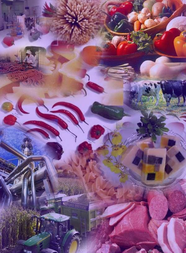 Komoriné Zorkóczy Aranka Amit az élelmiszeripari mintavételről tudi kell A követelménymodul megnevezése: Gyártás