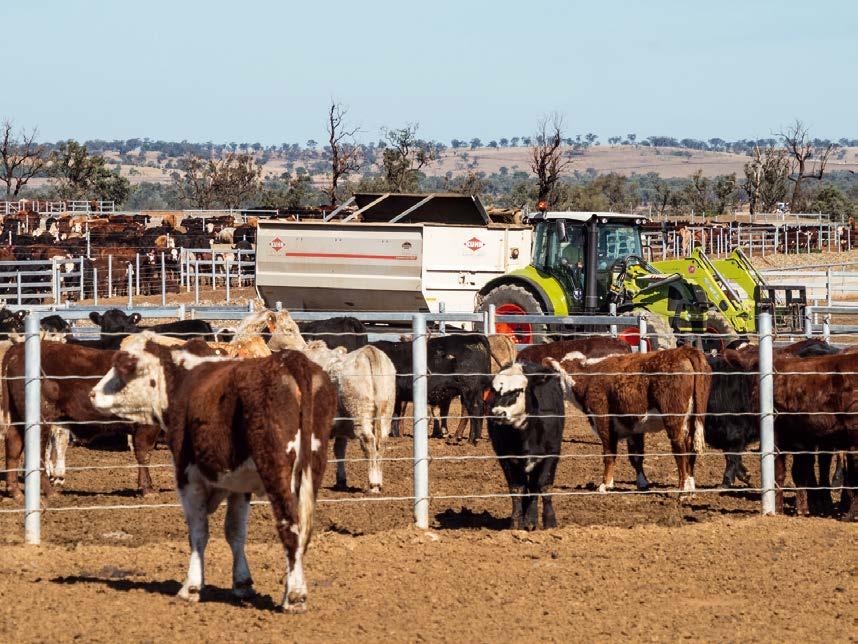 CLAAS TRAKTORKAMPÁNY 24 agritech HARMINCEZER HEKTÁR, SZÁZEZER SZARVASMARHA AUSZTRÁLIA TÍZ LEGNAGYOBB GAZDASÁGÁNAK EGYIKE A Ceres Agriculture Ausztrália tíz legnagyobb feldolgozóüzeme közé tartozik: