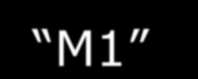 Menü M1 (Információ) 1. szint Gomb 2. szint Gomb 3. szint Gomb P11 (SOFTWARE) Vezérlőszoftver verziószáma P12 (HEAT. TIME) D C Üzemórák száma P13 (IGNT.