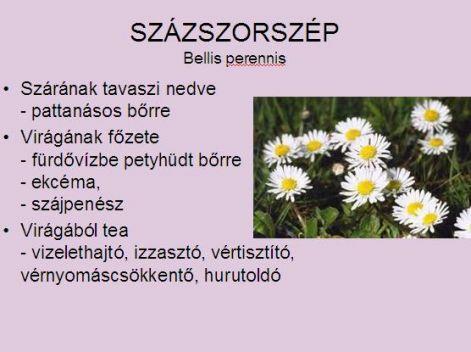 TEAKÉSZÍTÉS: 2 kávéskanálnyi szárított és aprított turbolyalevelet 2 dl vízzel leforrázunk, 15 percig állni hagyjuk, majd leszűrjük. Méregtelenítésre ajánlott adagja 3x2 dl.