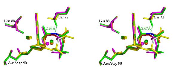 A B 3. 8. 1. ábra (A) Az α,β-imido-dutp molekulán jelöltem a C3 -C4 -C5-5 atomokat. (B) Az E. coli dutpáz:dudp:mn(ii) (gauche, PDB ID: 2HR6), az E.