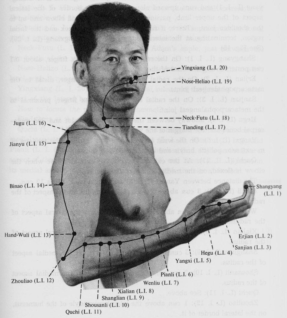 -4- Vab 5 YangXi Tűz a kézhát radiális oldalán, a m.extensor carpi radiális longus, és a m.