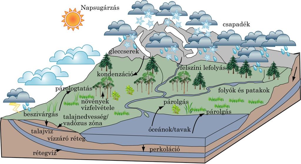 A hatalmas vízfelszínről a Nap sugárzó energiájának hatására a víz egy része elpárolog, és a légkörbe kerül.