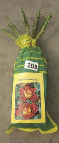 KERTI KIEGÉSZÍTŐK BIORGMIX ÁLTALÁNOS VIRÁGFÖLD Csz.