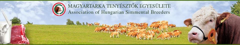 Web oldal Egyesületünk honlapja a www.magyartarka.