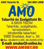 10 lakásos társasházban Orosházán a Zöldfa utcán 90 m 2 -es TÁRSASHÁZI LAKÁS ELADÓ. Érd.: 30/497-4453 Kályhák, kandallók újrasamottozása. 06/30/338-7737 Számítógépe nem működik?