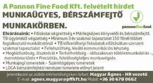 Jelölttel szembeni elvárások: gépkezelői gyakorlat magas terhelhetőség és munkabírás pörgős, terhelhető személyiség 2 műszakos