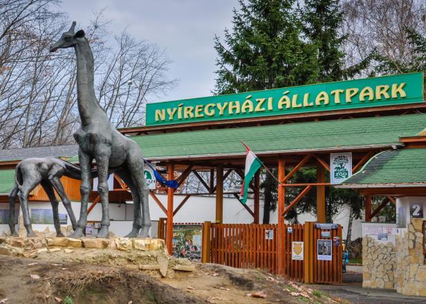 AZ ELLENŐRZÉS TERÜLETE Nyíregyháza Megyei Jogú Város Önkormányzata és a kizárólagos tulajdonában lévő Nyíregyházi Állatpark Nonprofit Korlátolt Felelősségű Társaság 1.