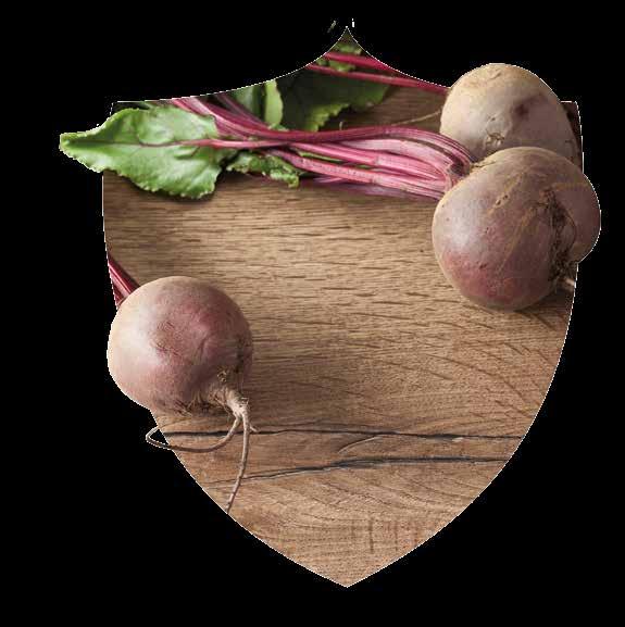 Munkalapok Ellenálló felületek