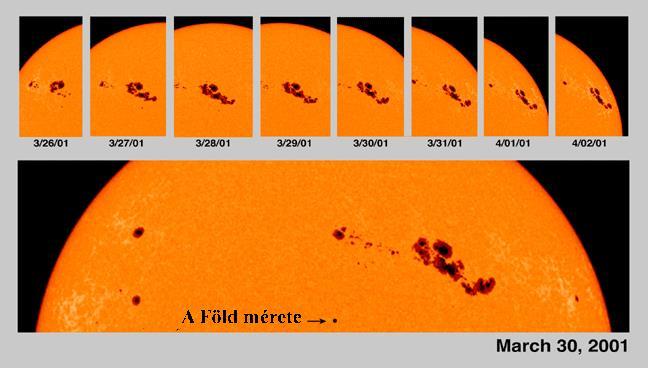 A Nap forgása A napfoltokat a napkorong keleti szélétől a nyugati felé látjuk vándorolni, ez annak következménye, hogy a Nap