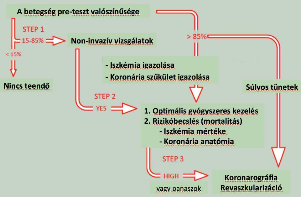 Kivizsgálási,