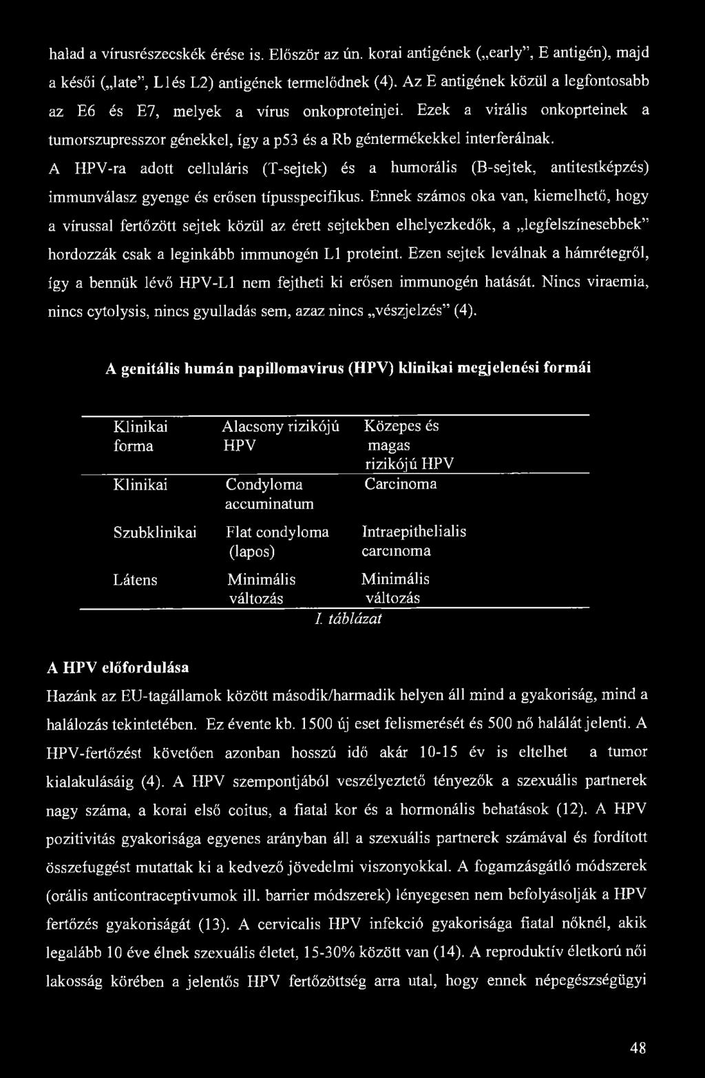 halad a vírusrészecskék érése is. Először az ún. korai antigének ( early", E antigén), majd a késői ( laté", Llés L2) antigének termelődnek (4).