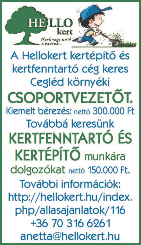 Elvárások: legalább középfokú, autóvillamossági végzettség érvényes B kategóriás jogosítvány 3 év hasonló munkakörben szerzett tapasztalat,