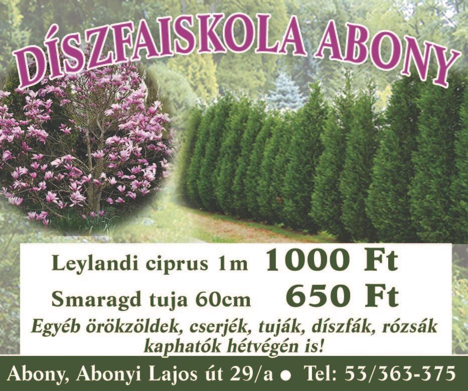 Keressen minket és érdeklődjön