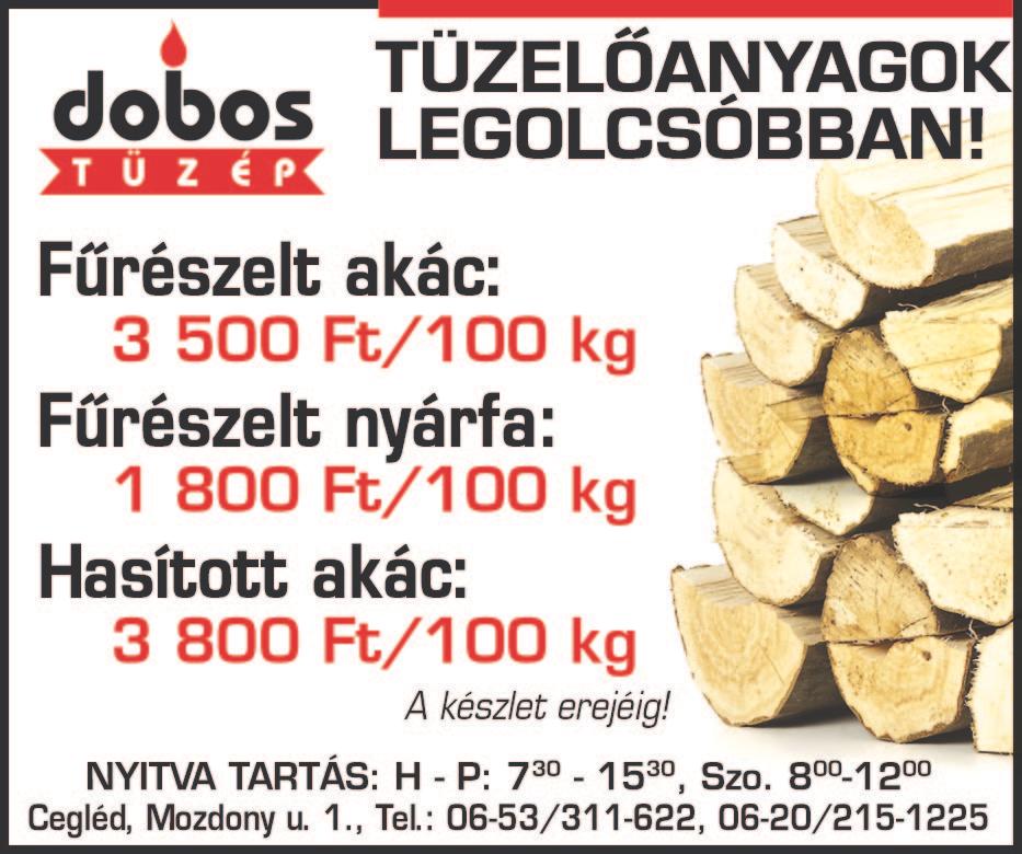 Útra fel - kölcsönautóval!