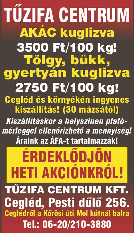 www. dpmsz. hu 7 RÉGISÉGEKET, festményeket, bútorokat, porcelánokat, bronz tárgyakat, régi zománcozott dolgokat (pl.