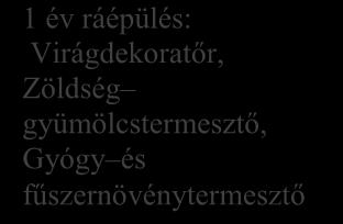 Magyar Gyula Kertészeti Szakképző Iskola képzési rendszere/ A. Szakközépiskola(új típusú)2016/2017-es tanévtől beiratkozó tanulók 1/9. évfolyam 2/10. évfolyam 3/11.