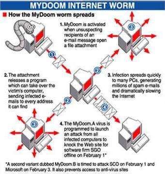 MYDOOM Hogyan terjed a MyDoom féreg? 1. A MyDoom akkor aktiválódik, amikor a gyanútlan címzett megnyitja az e-mailhez csatolt fájlt. 2.