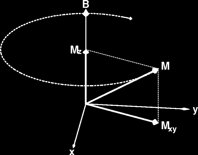Precession If M is not parallel to B 0, then it precesses clockwise around the direction of B 0 0 Precession has a characteristic