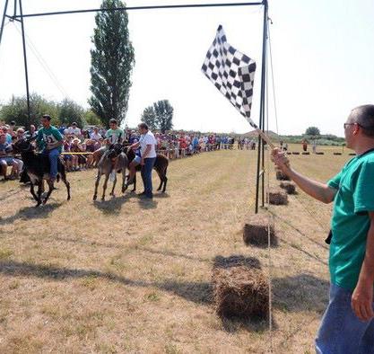 Javasolt: meleg ruházat és szúnyogriasztó nyomában 12. Két kerékkel Királyhalomra (Szerbia) a Szamárversenyre 2017.08.27.