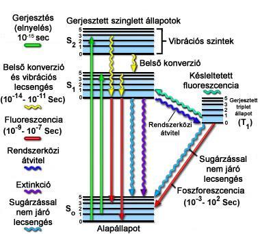 Fluoreszcencia, foszforeszcencia Fluoreszcens: spin váltás nélkül egyszerűbb mechanizmus, rövidebb