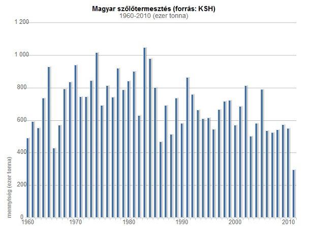 Megtermelt szőlő