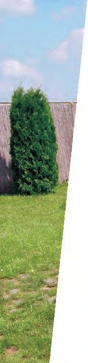 Rendelhető damil vagy horganyzott huzalba szőve.