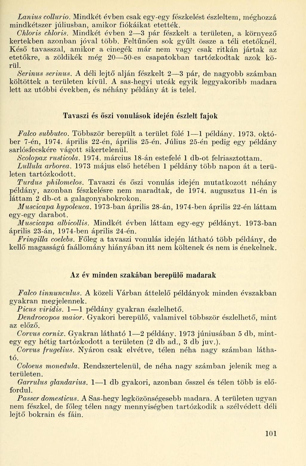 Lanius collurio. Mindkét évben csak egy-egy fészkelést észleltem, méghozzá mindkétszer júliusban, amikor fiókáikat etették. Chloris chloris.