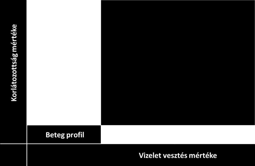 Protokoll