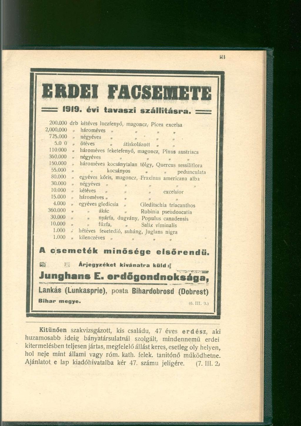 Hí E R D E I F A C S E M E T E = 1919. évi tavasz i szállításra. = 200.000 drb kétéves luczfenyő, magoncz, Picea excelsa 2,000.