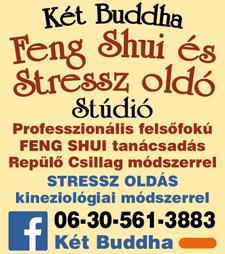 Sorsmeghatározással kiegészítve történjen?