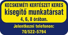 KŐFELDOLGOZÓ gép kezelésére keresünk lakatos, esztergályos, kőműves vagy burkoló szakmunkást Kiskunfélegyházára.