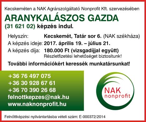 Érd: 0620/224-2452 BETANÍTOTT dolgozókat keresünk kiemelt bérezéssel győri, sopronkövesdi, ajkai és mosonmagyaróvári munkahelyünkre. Szállást, étkezést, utazást biztosítunk.