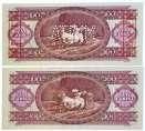 100 Forint with B000 000110 serial number and with red MINTA(SPECIMEN) overprint and perforation + 1992. 100 Forint with typographical crease error C:UNCAdamo F37Ma,F37 1 30099. 30100. 30101. 30102.