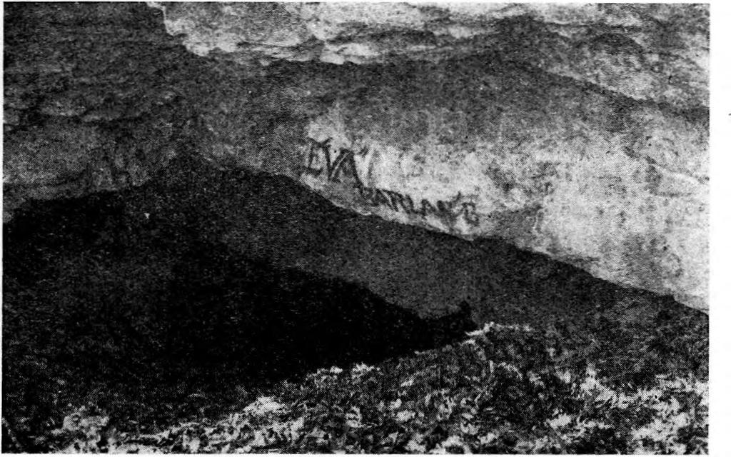 ), itt már a sűrűhegyi Ördögük elnevezést vezetve be első helyen. Szeghalmy Gy. 1937-ben megjelent vaskos könyve (15.
