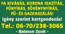 Redőnyök, rovarhálók, árnyékolók, szalagfüggöny, harmonikaajtók készítése, javítása. Penészmentesítés! www.peneszeltavolitasa.hu Tel.: 06-30/294-6022 GÁZKAZÁNOK JAVÍTÁSA, karbantartása, beüzemelése!
